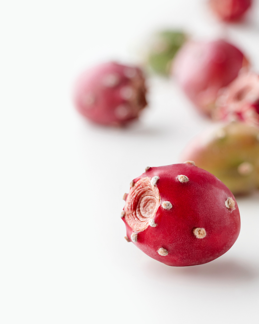 NOPAL "PRICKLY PEAR" CACTUS CAPSULES