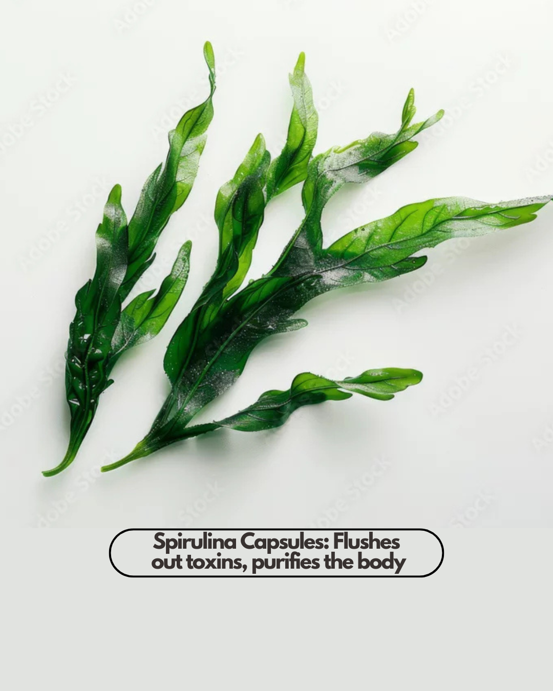 Sea Flower Mineral Capules