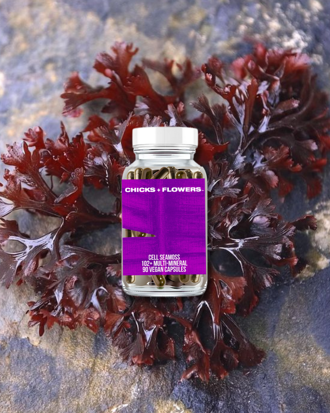 CELL SEAMOSS MINERAL CAPSULES