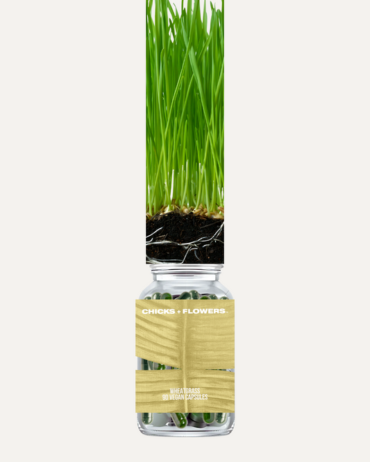 WHEATGRASS