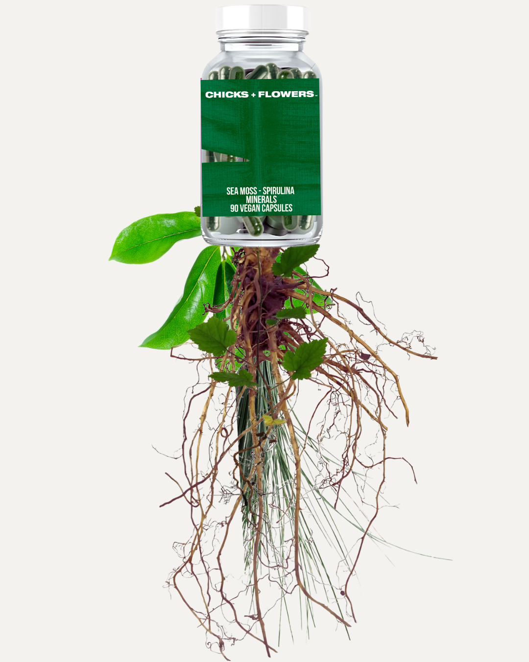 Sea Flower - Spirulina - Soursop Capsules