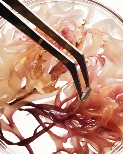 CELL SEAMOSS MINERAL CAPSULES