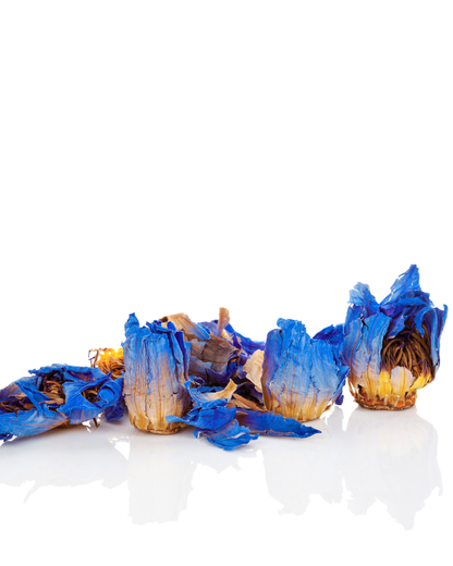 Blue Lotus Flower Body Serum