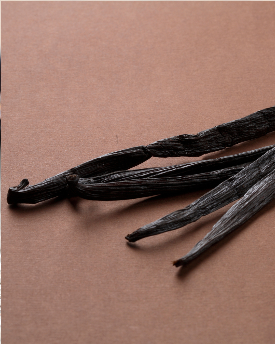 MATCHA + BLUE LOTUS COCONUT WHIPPED BODY BUTTER