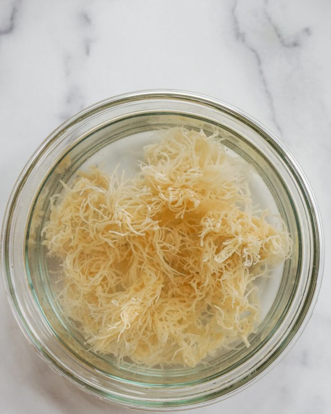 MATCHA + BLUE LOTUS COCONUT WHIPPED BODY BUTTER